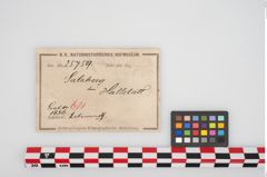 Etikett zu Bronzebuckelarmreif (NHMW-PRAE-025759)